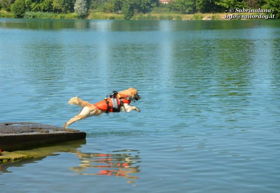 Esercitazioni in acqua