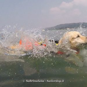 Esercitazioni in acqua