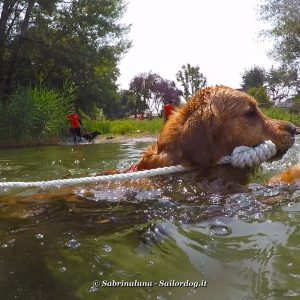 Esercitazioni in acqua
