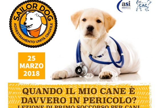 Sailor Dog - Corso di Primo Soccorso Veterinario - Quando intervenire?