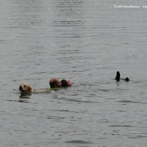 Esercitazioni in acqua