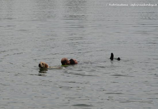 Esercitazioni in acqua