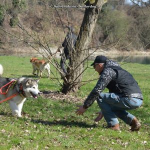 Sailordog - Educazione Cinofila