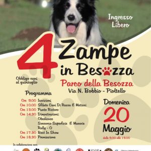 4 zampe in Besozza