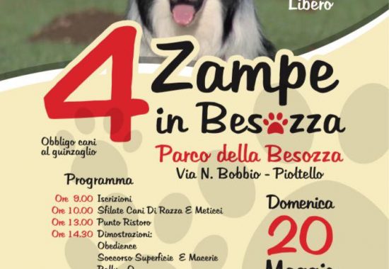 4 zampe in Besozza