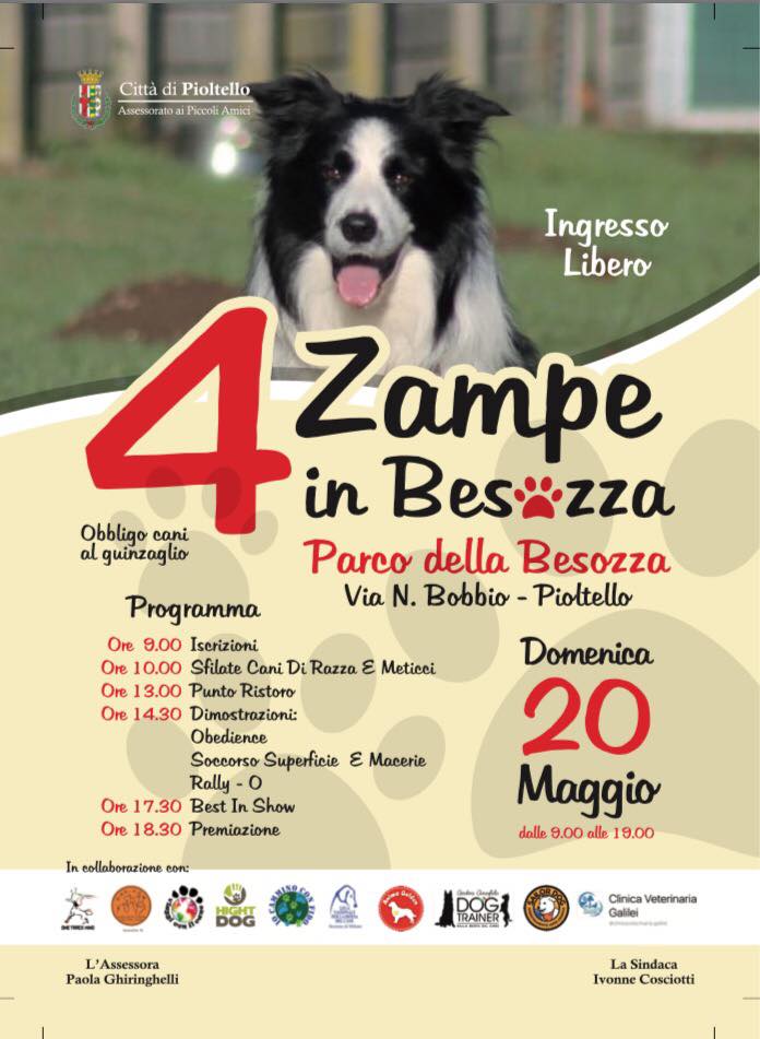 4 zampe in Besozza