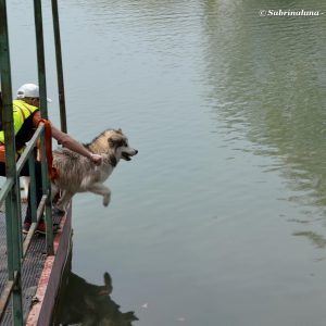 Esercitazioni in acqua