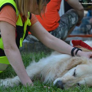 Gestione, motivazione, gioco e stress nel cane