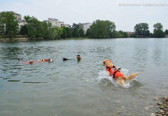 Sailor Dog - Associazione Cinofila di Salvataggio Nautico