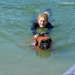 Sailor Dog - Associazione Cinofila di Salvataggio Nautico (Milano) - Esercitazione cinofila in acqua