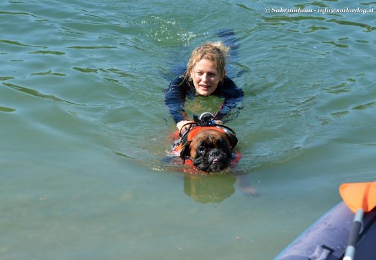 Sailor Dog - Associazione Cinofila di Salvataggio Nautico (Milano) - Esercitazione cinofila in acqua