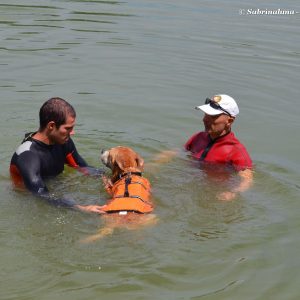 Esercitazioni in acqua