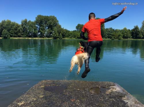 Tuffo con cane
