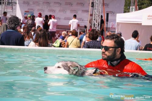 4 Zampe in Fiera / Advantix Running