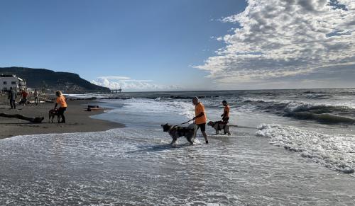 Esercitazione salvataggio in acqua - Bagni San Giovanni - Pietra Ligure
