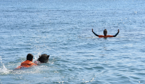 Esercitazione salvataggio in acqua - Bagni San Giovanni - Pietra Ligure 2021