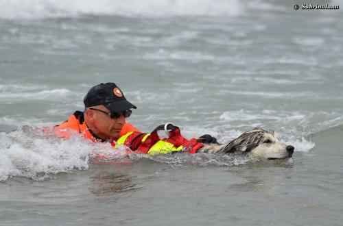 Esercitazione di salvataggio nautico al mare