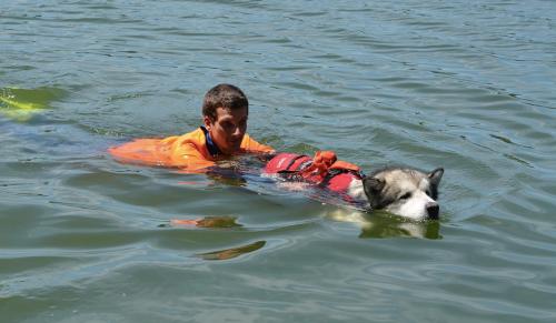 Nuoto con tecnica a delfino