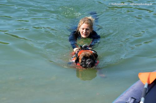 Nuoto con tecnica a delfino