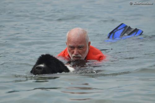 Nuoto con tecnica a delfino